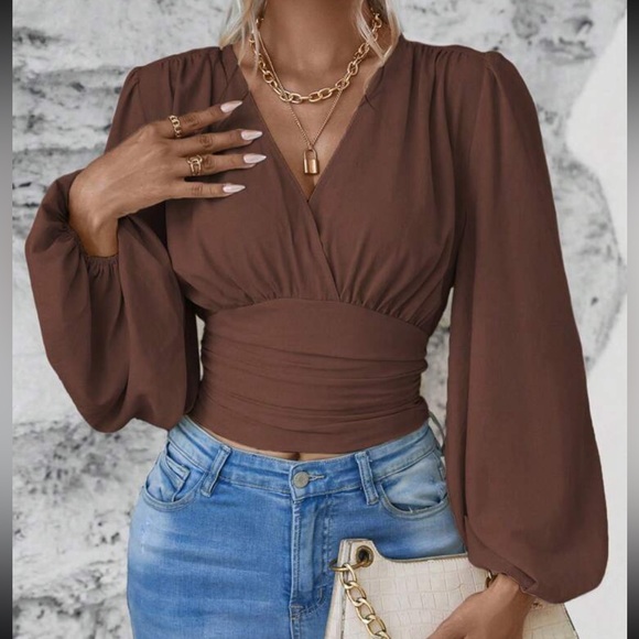 Tops - Boho Classic Elegant VNeck Pleated Smocked Long Sleeve Cropped Top Blouse Shirt